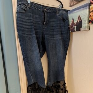 Plus Size Jeans